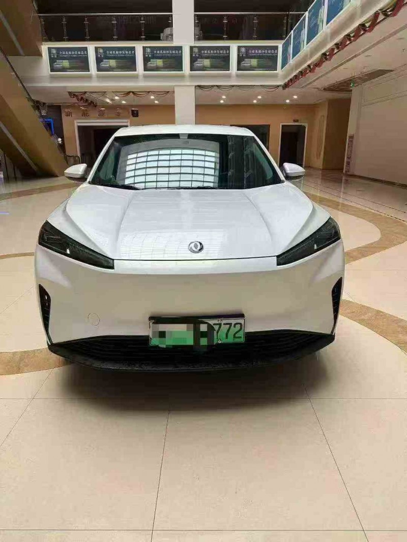 淮北24年东风风神1