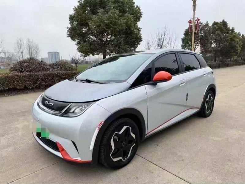 淮安22年比亚迪海豚2