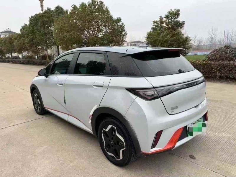 淮安22年比亚迪海豚9