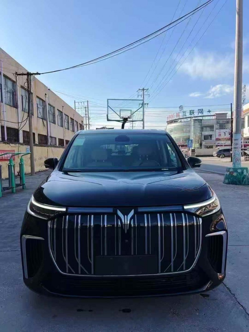 枣庄26年岚图汽车梦想家1