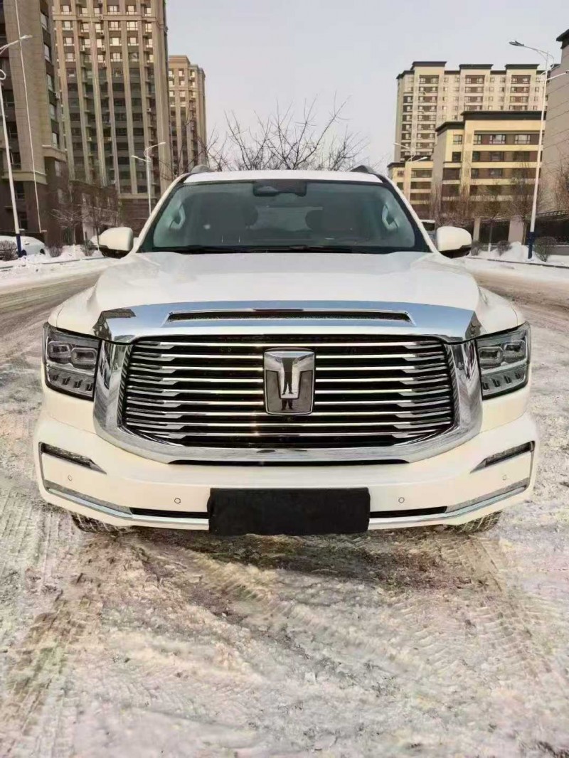 张家口24年长城汽车坦克1