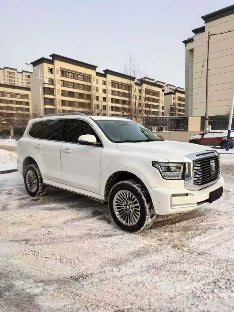 张家口24年长城汽车坦克2