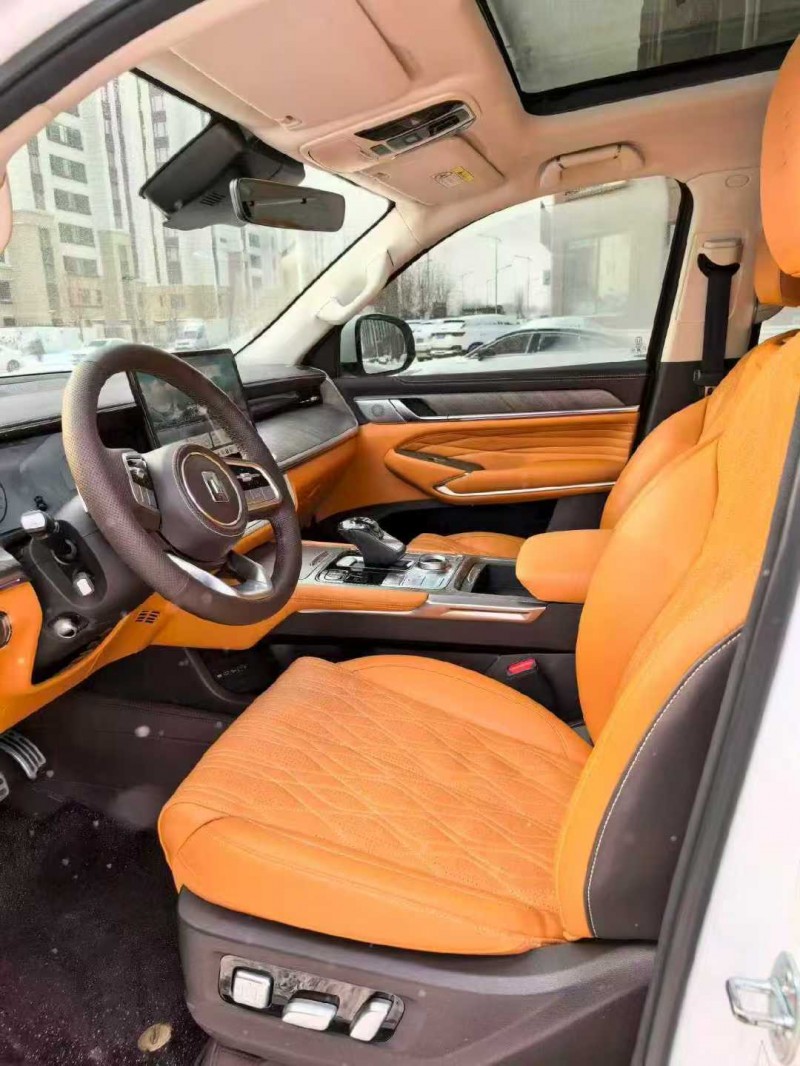 张家口24年长城汽车坦克4