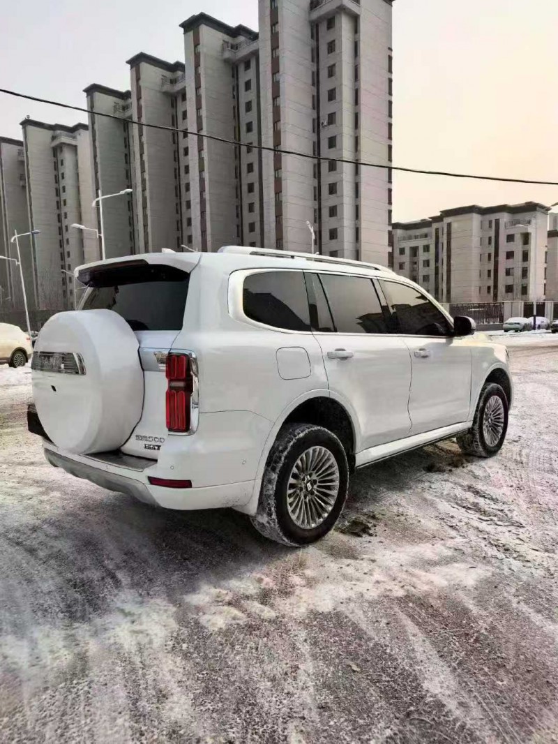 张家口24年长城汽车坦克8