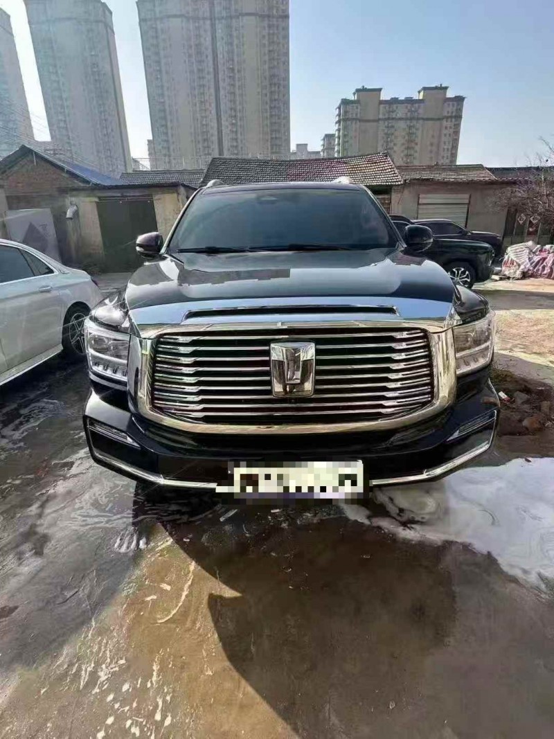 菏泽24年长城汽车坦克1