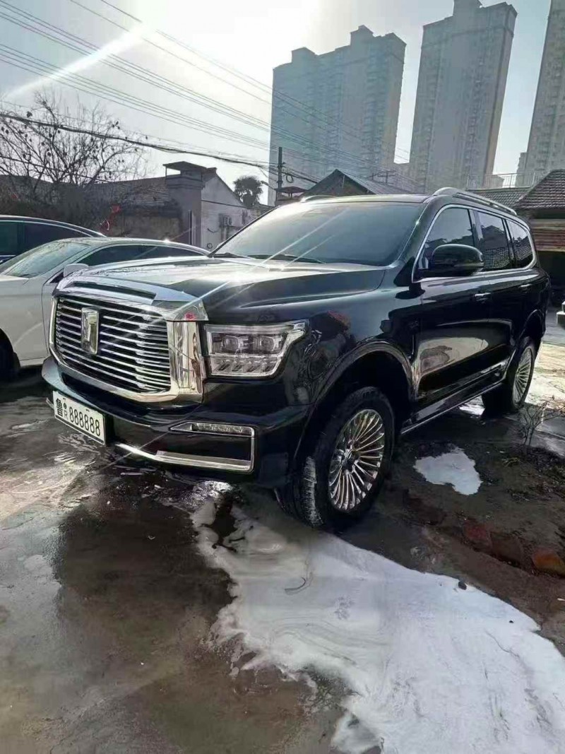 菏泽24年长城汽车坦克2