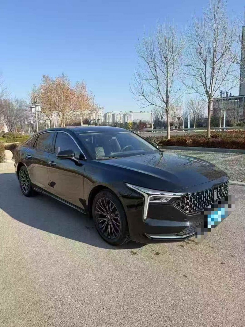 威海22年奔腾B703