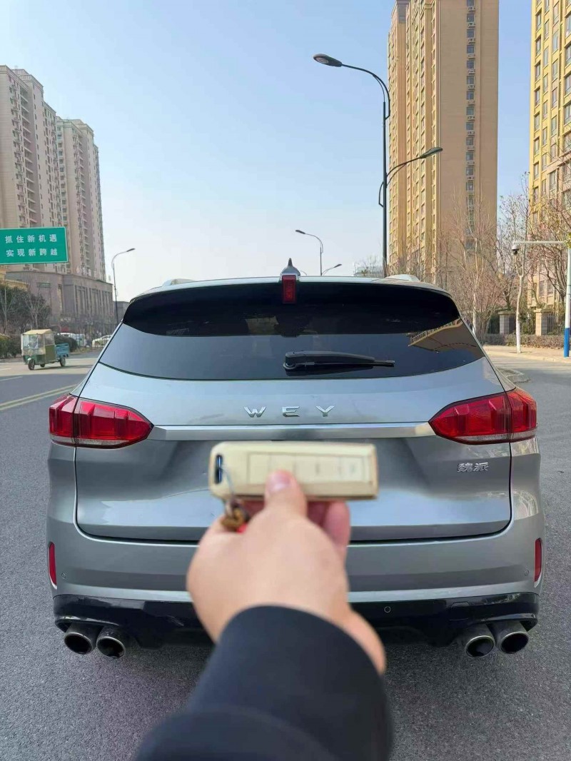 安庆19年长城汽车魏牌9