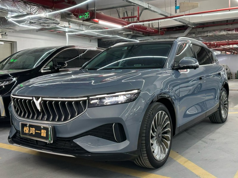 深圳23年岚图汽车FREE2