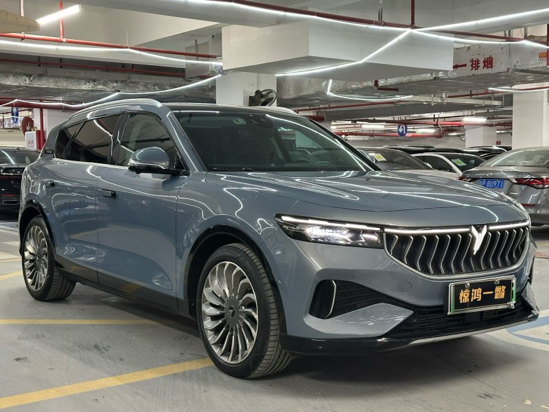 深圳23年岚图汽车FREE3