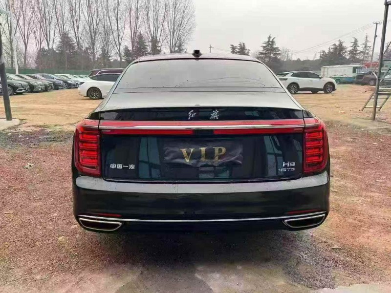 平顶山24年红旗H99