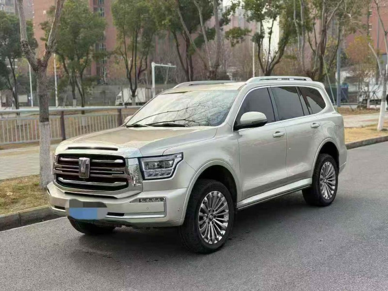 荆门23年长城汽车坦克2