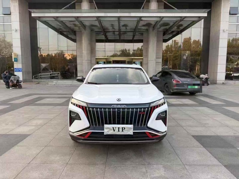 枣庄24年东风风神1