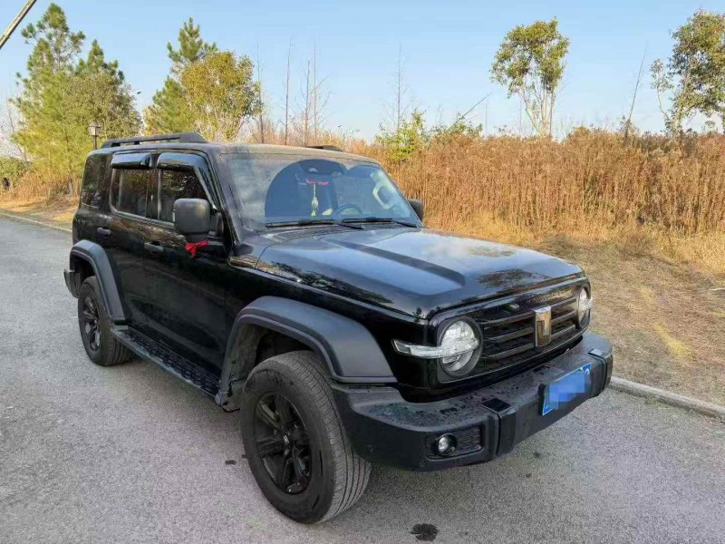 荆州24年长城汽车坦克3