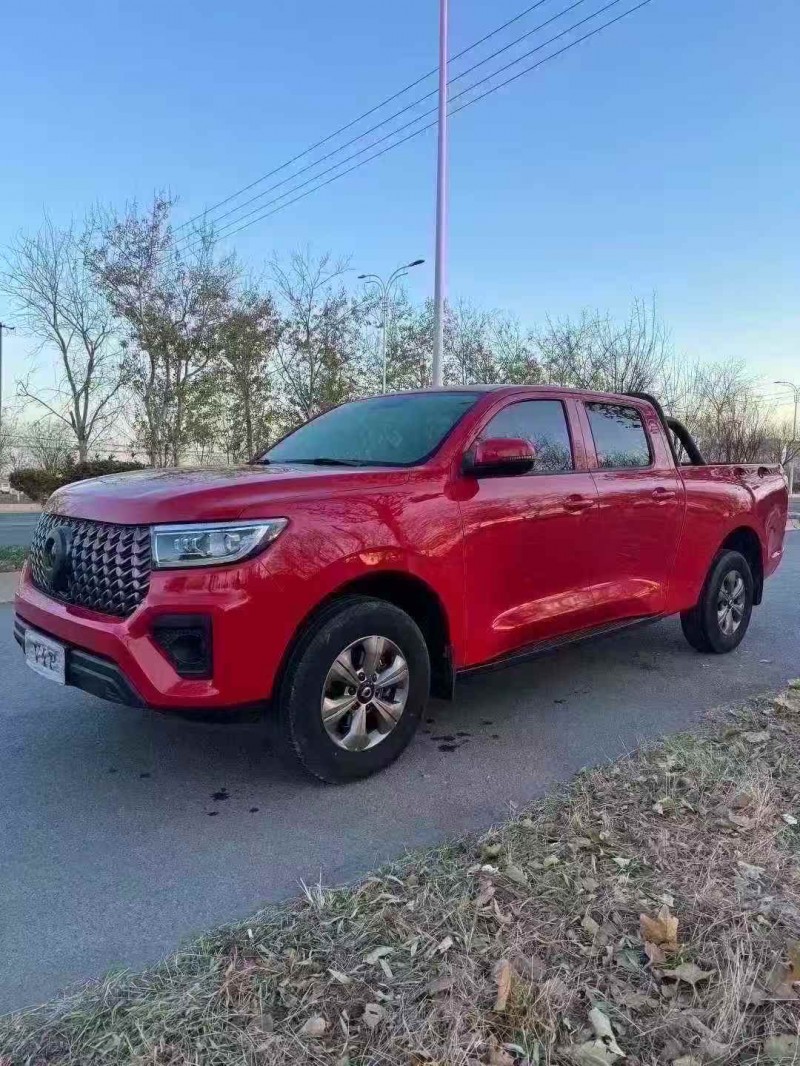 徐州24年长城汽车炮 皮卡2