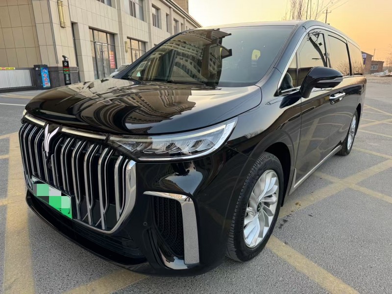 廊坊25年岚图汽车梦想家2