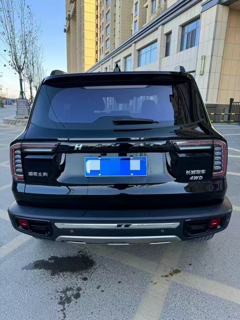 廊坊23年哈弗大狗9