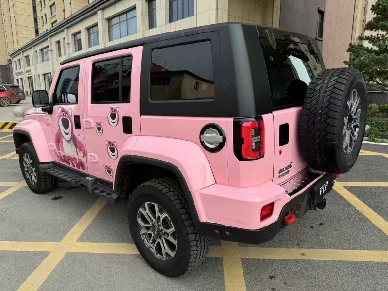 廊坊23年北京BJ408