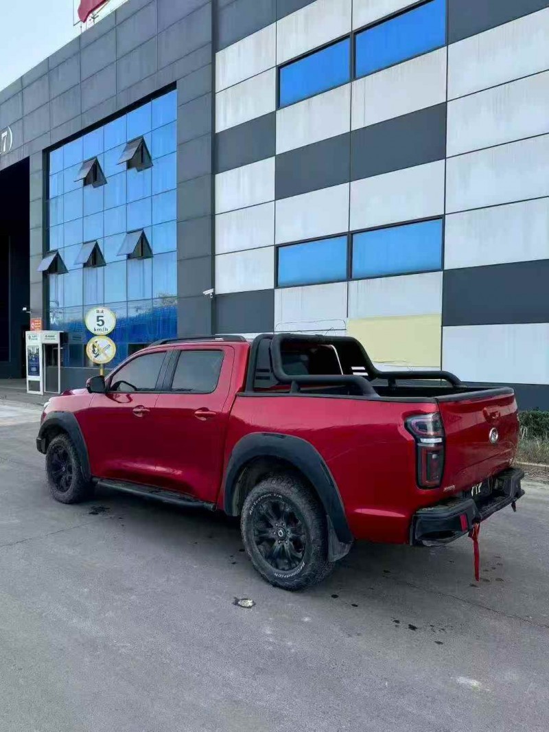 济宁20年长城汽车炮 皮卡6