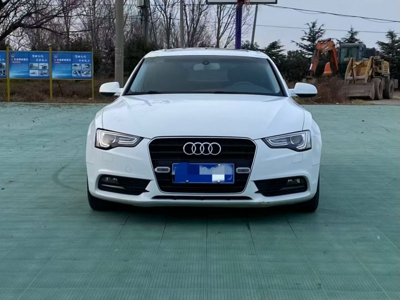 青岛14年奥迪A51