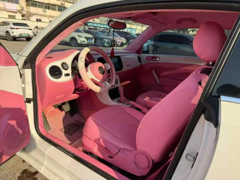 安庆19年大众甲壳虫5