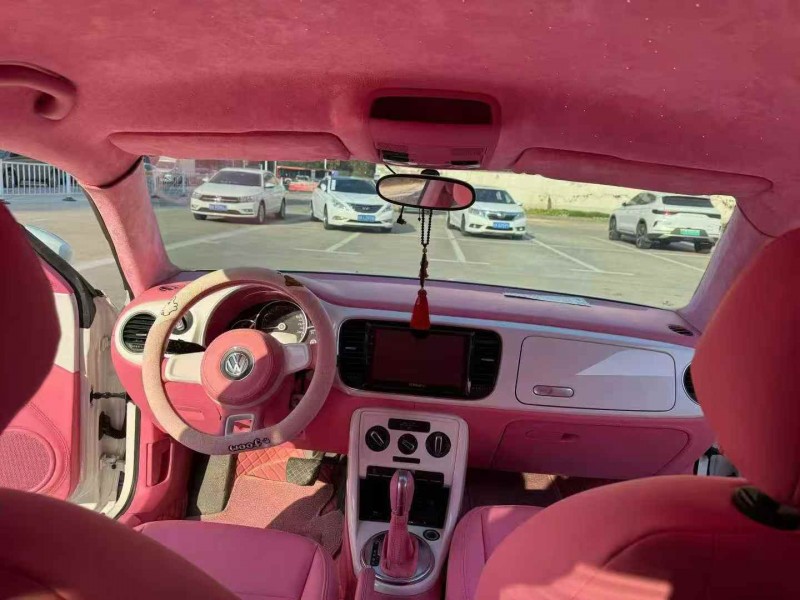 安庆19年大众甲壳虫6