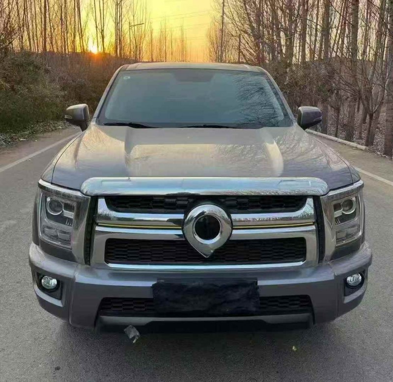 枣庄23年长城汽车炮 皮卡1