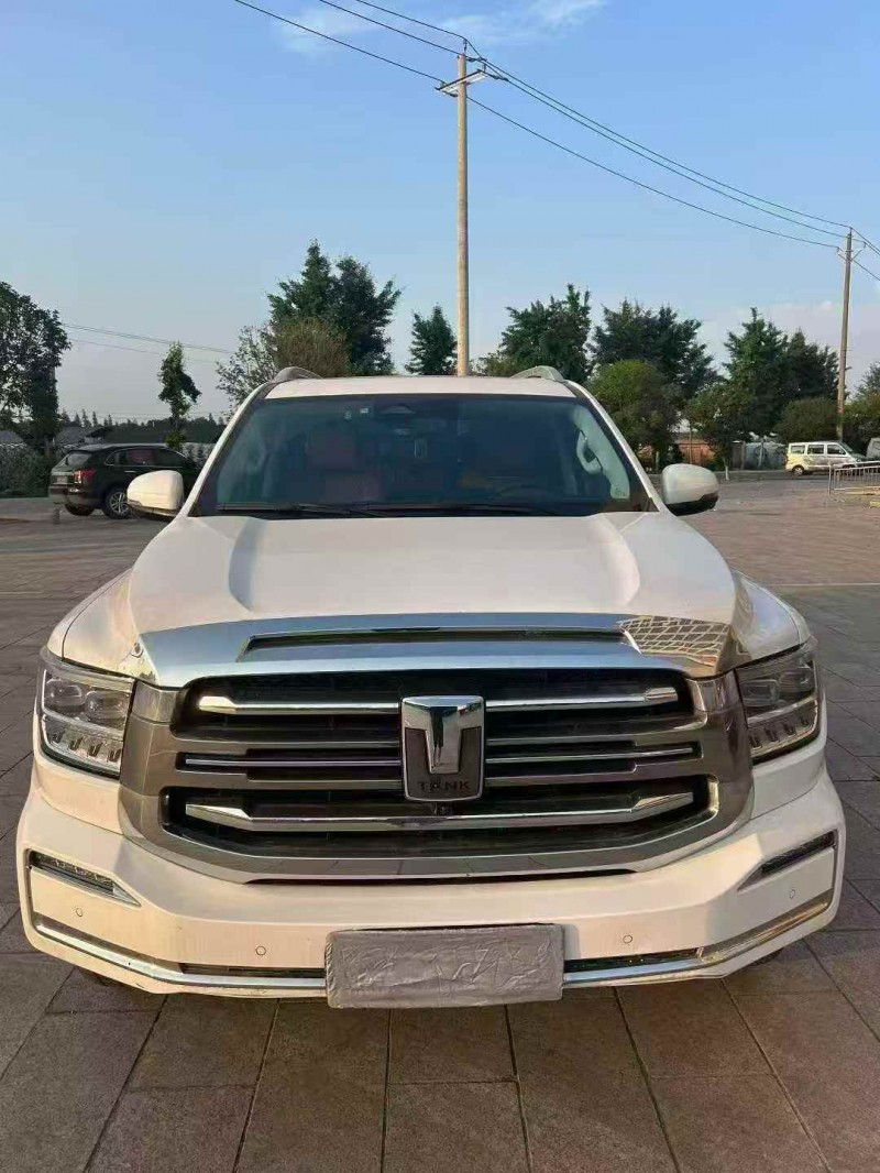 潍坊22年长城汽车坦克1