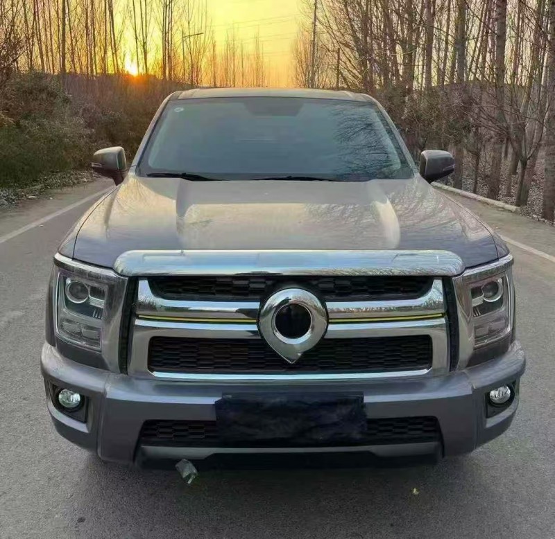 济宁23年长城汽车炮 皮卡1