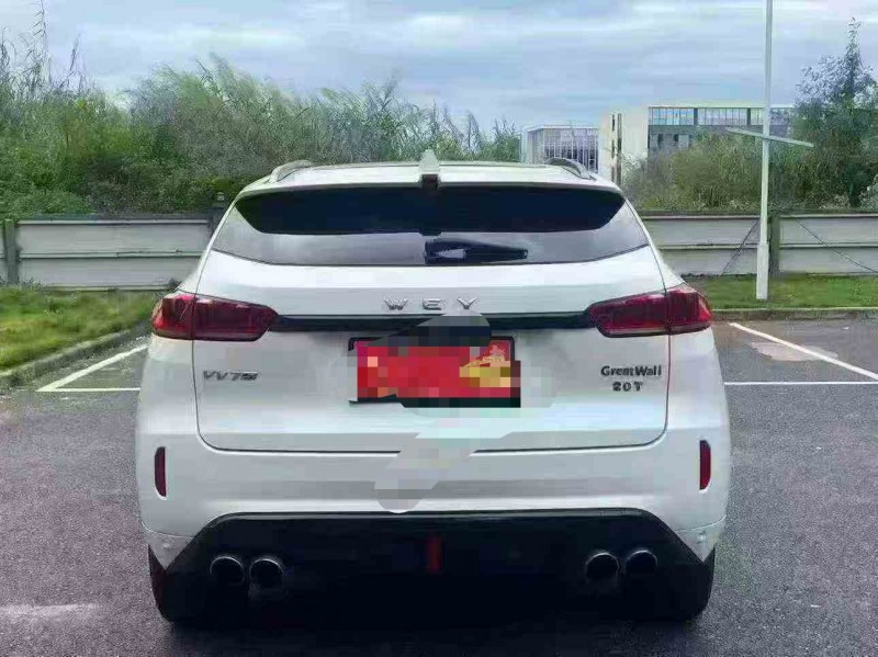 广州18年长城汽车魏牌9