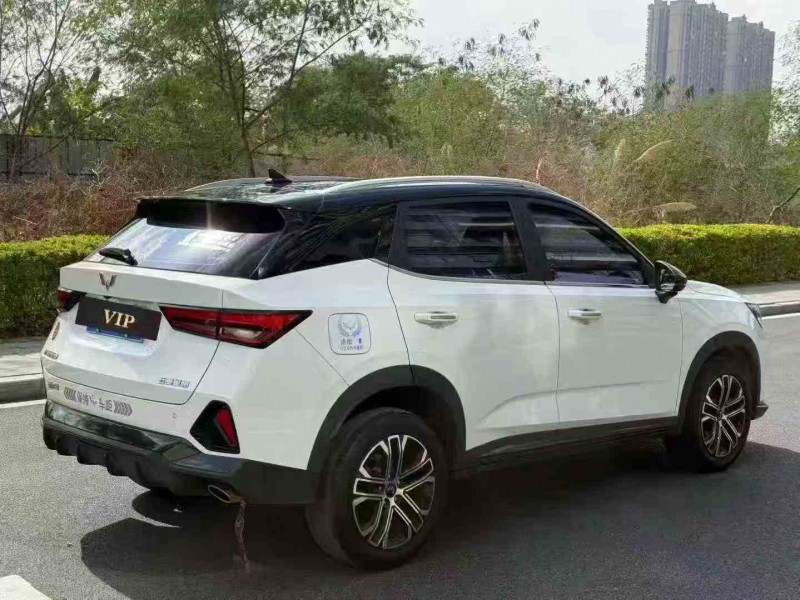 湛江23年五菱汽车星辰8