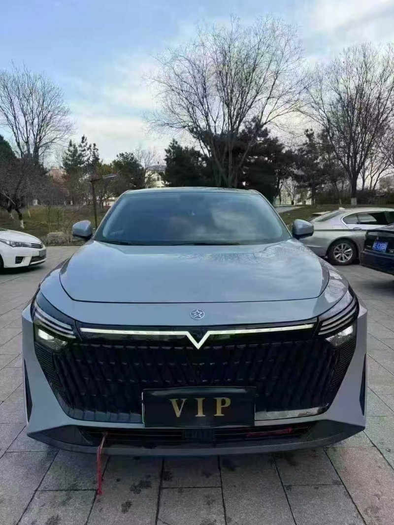 邢台24年启辰大V1