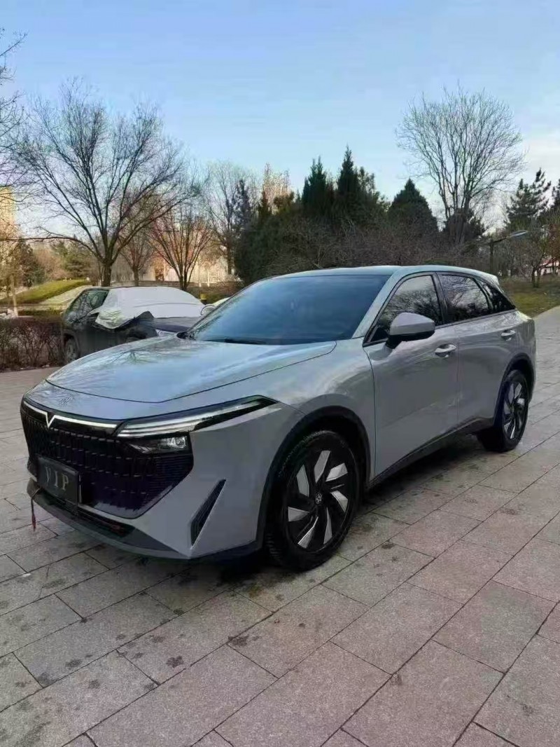 邢台24年启辰大V2