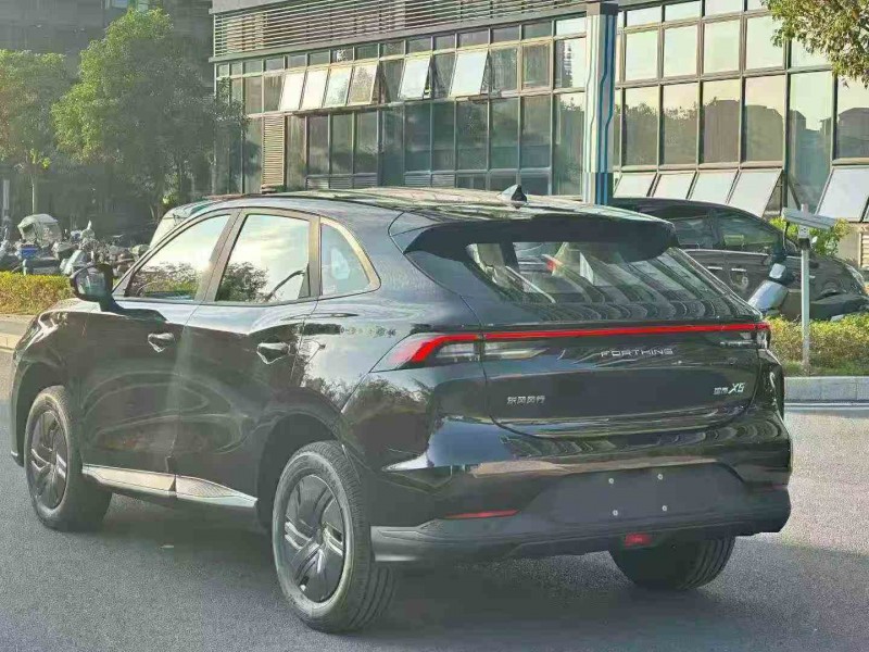 湛江25年东风星海9