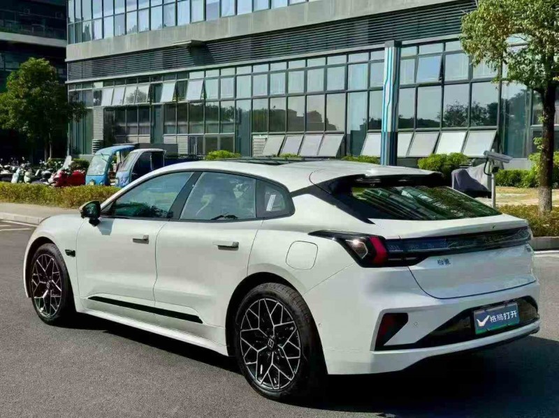 广州24年极氪汽车0017