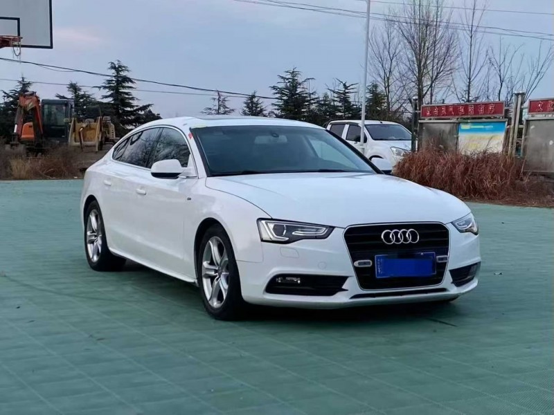 青岛14年奥迪A52