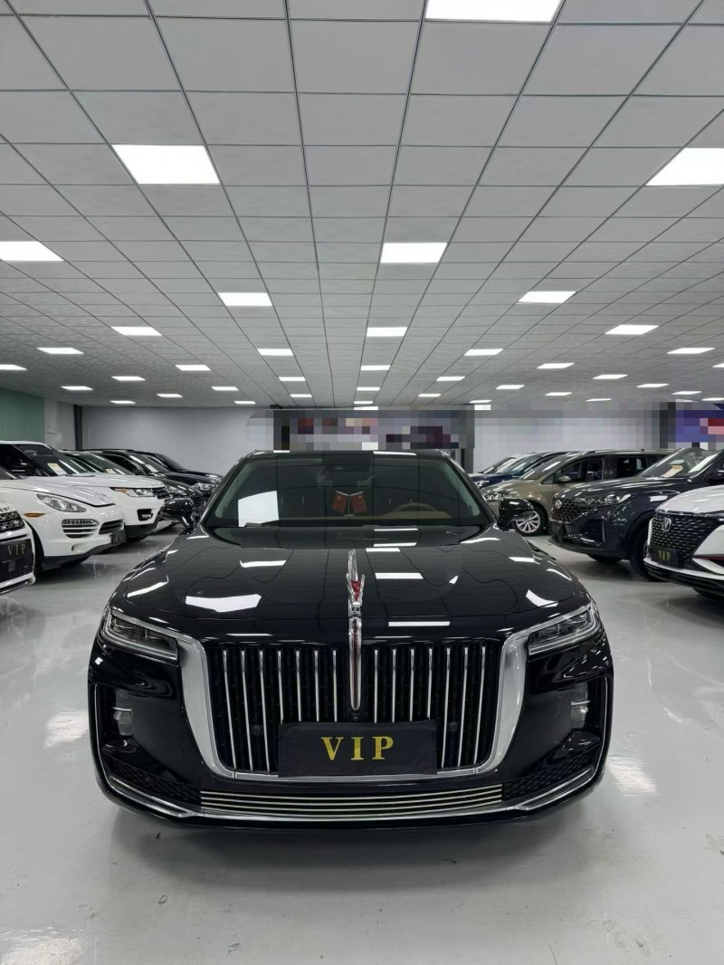 廊坊20年红旗H91