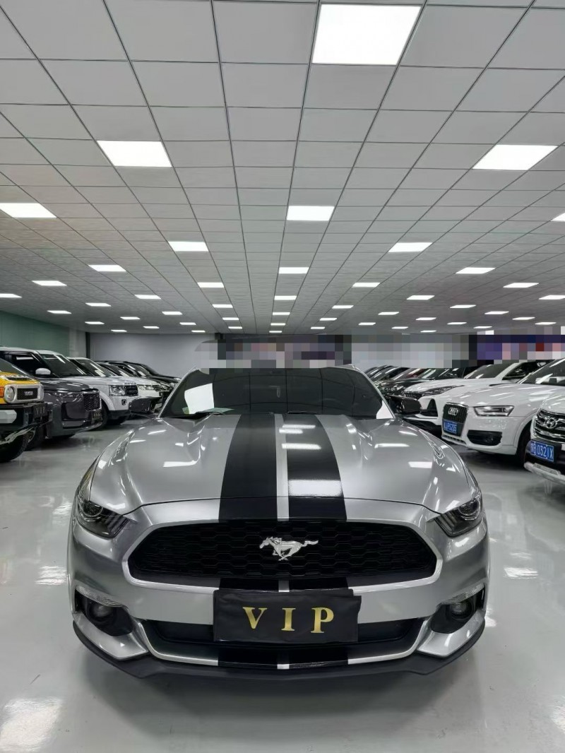 廊坊18年福特野马1