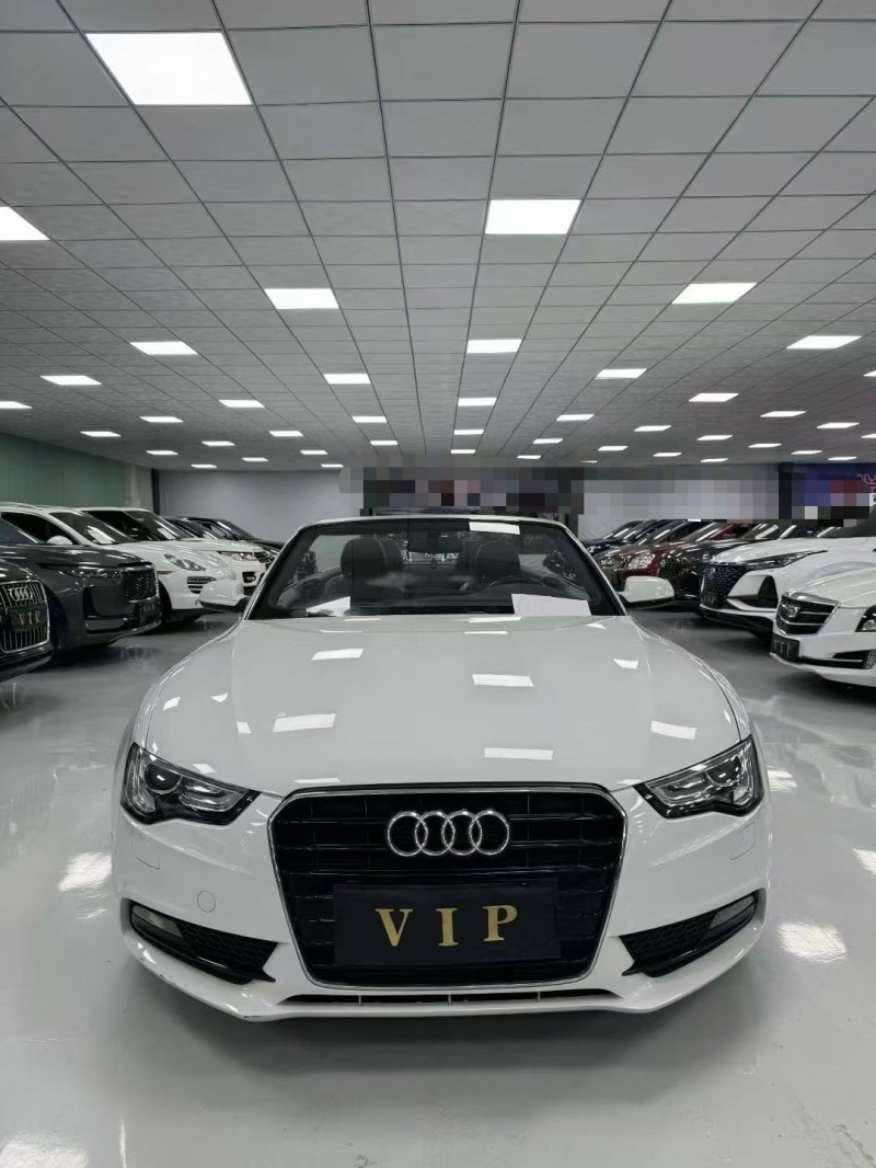 廊坊15年奥迪A51