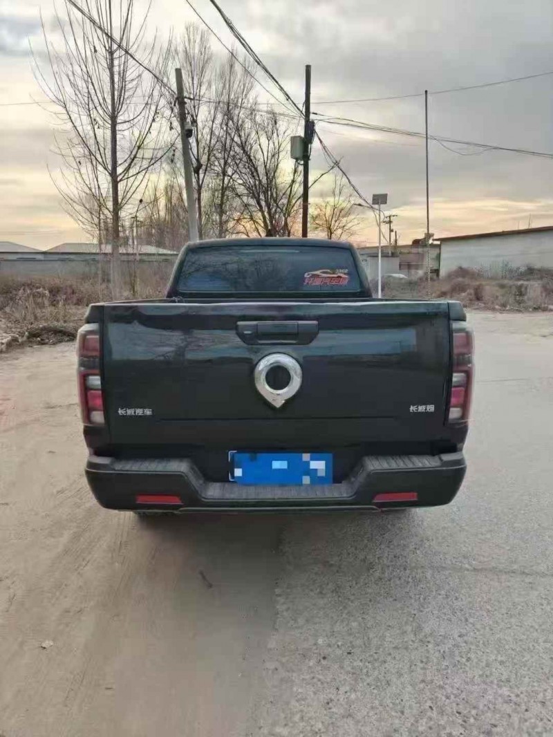 承德23年长城汽车炮 皮卡9