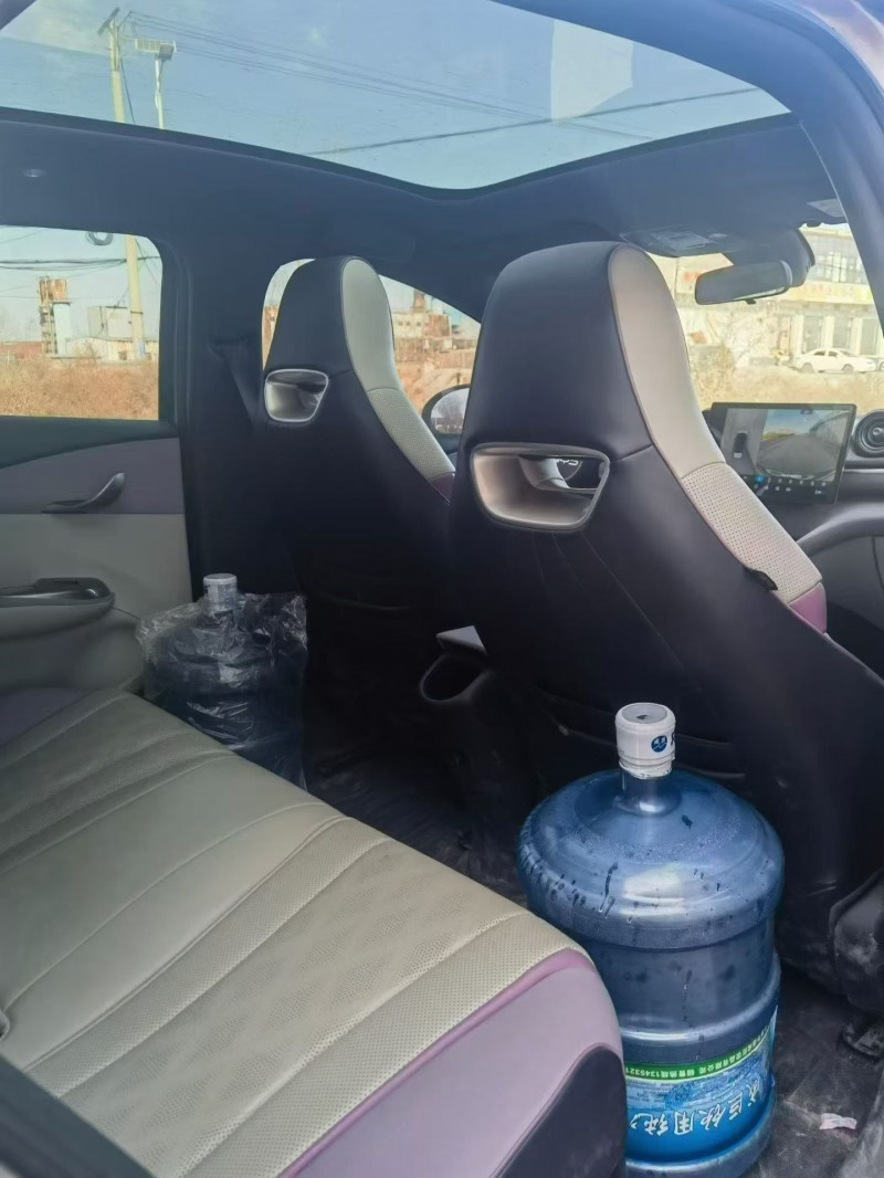 运城23年比亚迪海豚6