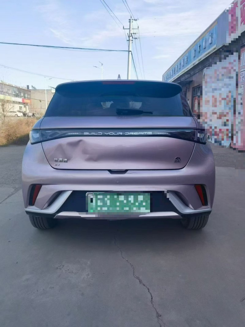 运城23年比亚迪海豚8