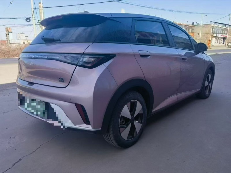 运城23年比亚迪海豚9