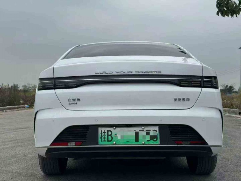 贵港24年比亚迪驱逐舰9