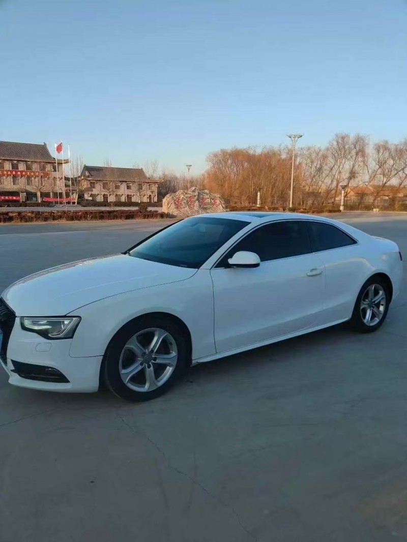 菏泽12年奥迪A53