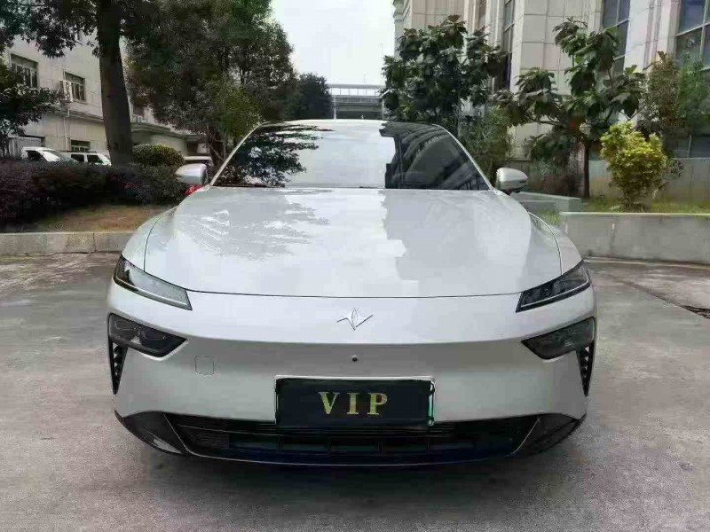 湛江22年东风奕派1