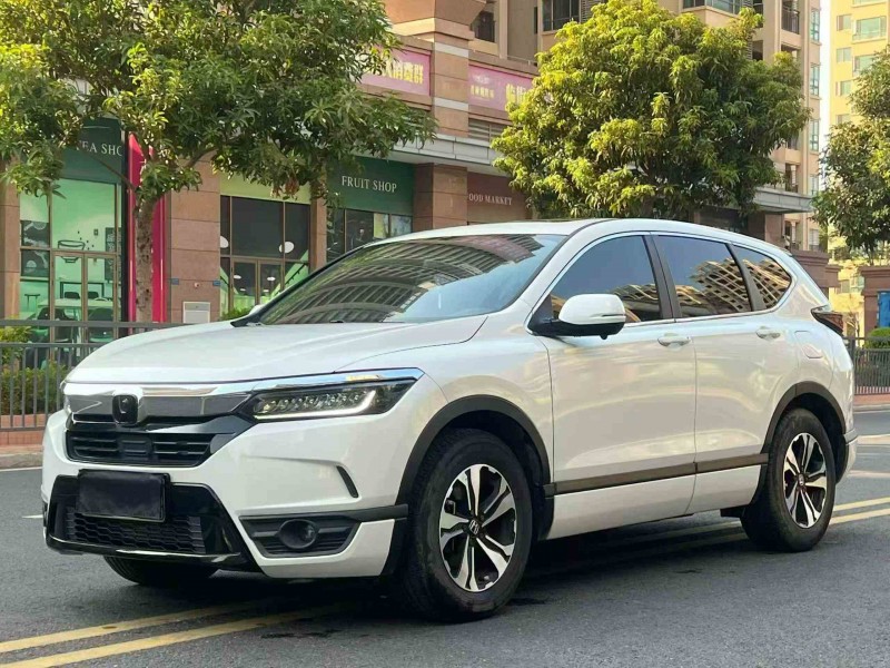 湛江22年本田皓影2
