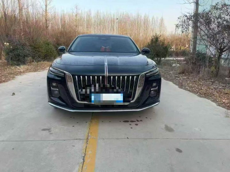 枣庄23年红旗H51