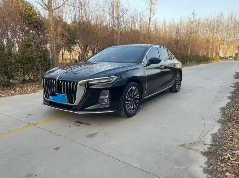 枣庄23年红旗H53