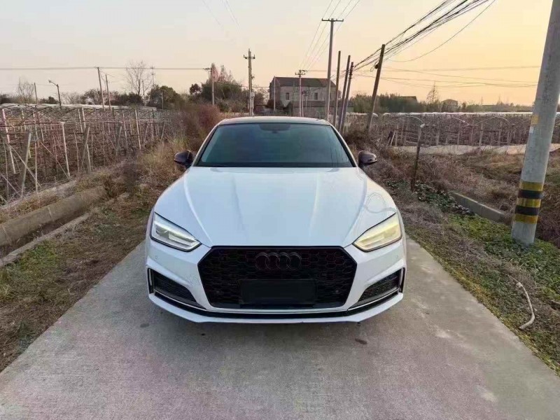 嘉兴18年奥迪A51